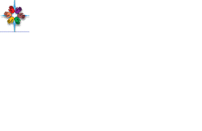Image Actualité
