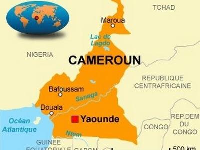 Vignette_Cameroun